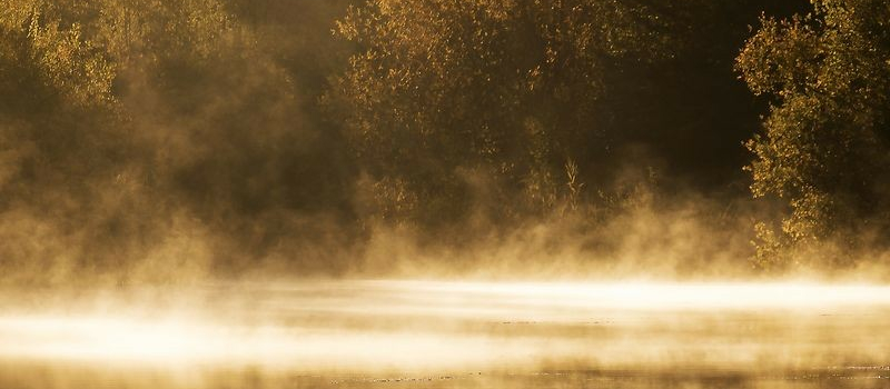 Fleurance : Exposition « Aqua Songe ? » par Franny Tay
