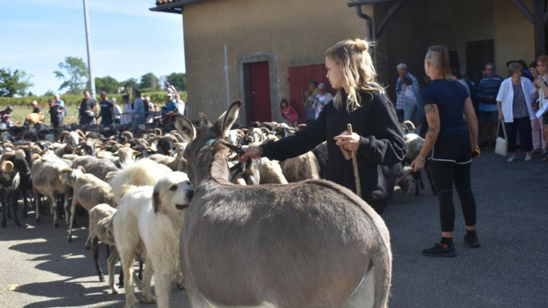 La Route de la Transhumance fait une halte