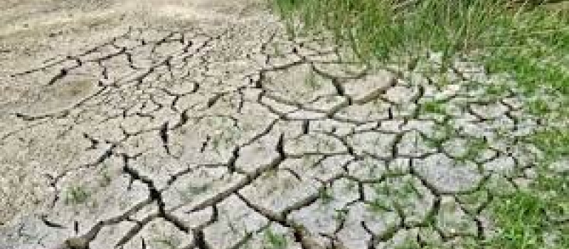 pertes de fonds sur noisetiers, amandiers, vignes, prairies temporaires et permanentes.