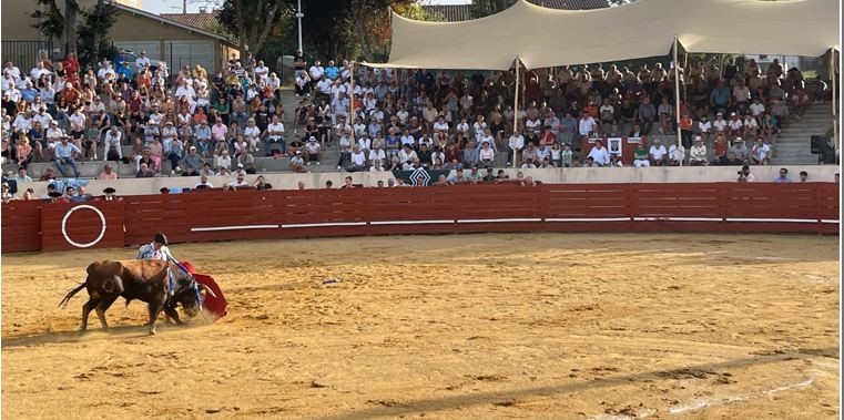 corrida seissan 1.JPG