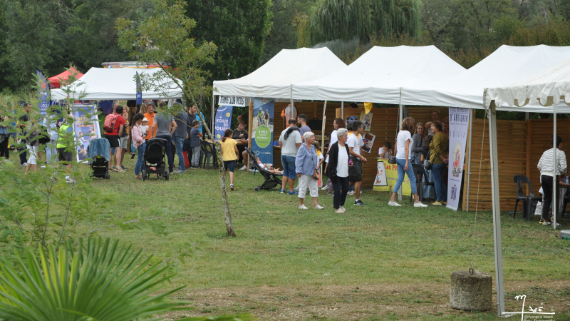 Affluence record pour la fête du sport et des associations