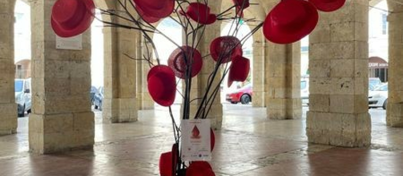 Septembre rouge, mois de sensibilisation aux cancers du sang
