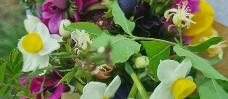 Journées du Patrimoine : Cache-Cache bouquet