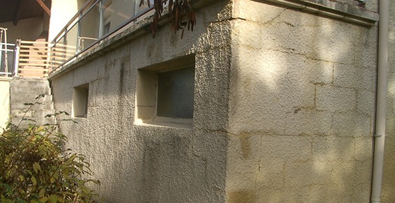 IMGP6260.JPG
