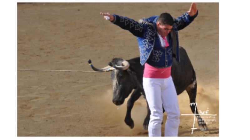 La ganaderia Aiguillon dans les arènes vicoises dimanche !