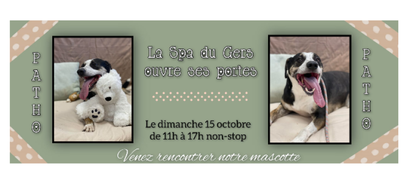 La SPA ouvre ses portes dimanche en journée continue !