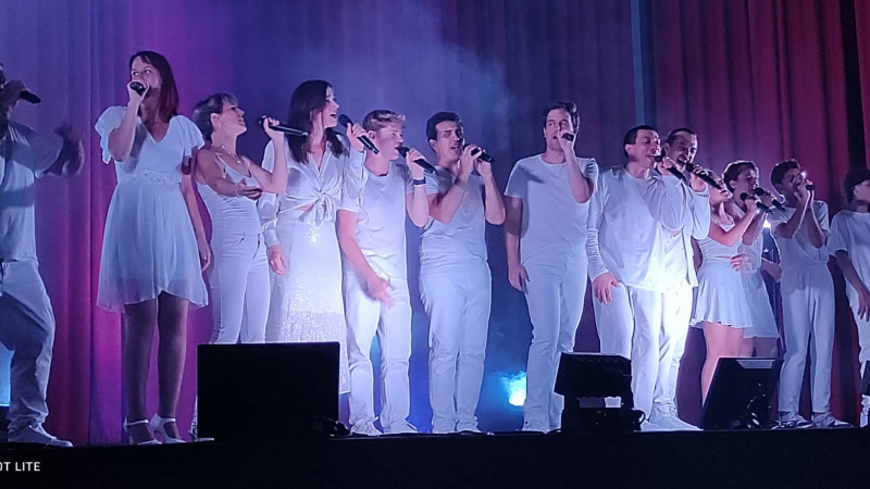 "Des chansons plein la tête" avec des artistes TV  le 31 octobre  à Vic-Fezensac !