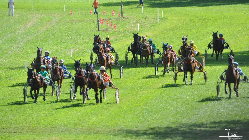 Edition réussie des courses de trot à Gimat !