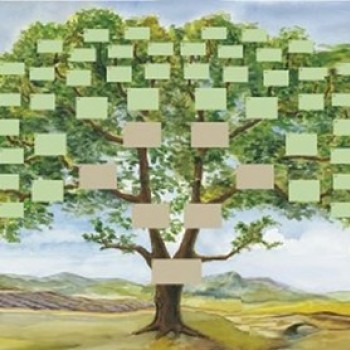 arbre genealogique 78.jpg