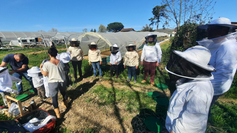 Un défi familial pour accueillir les pollinisateurs dans votre jardin !