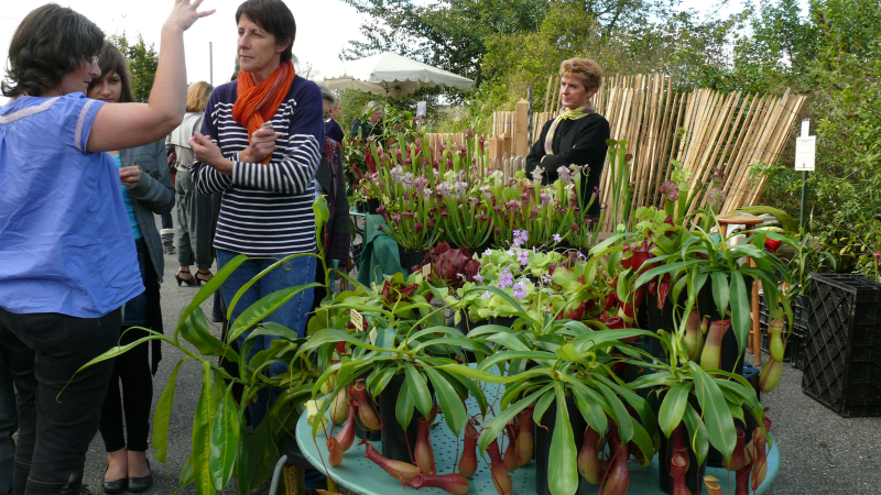 La 21e foire aux plantes rares c'est dimanche 8 octobre dès 9 heures