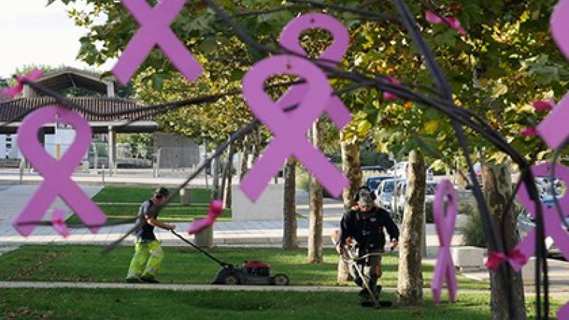 Un décor rose pour la ville