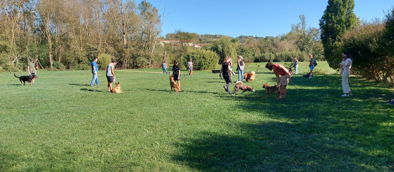 Belle réussite pour la  journée de  prévention canine organisée par Vic Accueil
