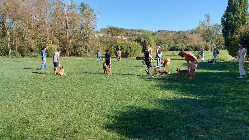 Belle réussite pour la  journée de  prévention canine organisée par Vic Accueil