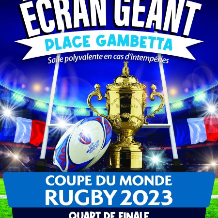 Affiche A3 coupe du monde de rugby.jpg