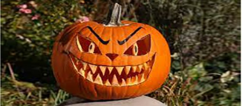 Des conseils pour bien préparer Halloween