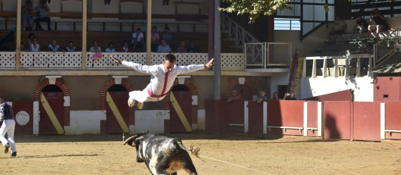 Les Coursayres s’engagent pour Octobre rose