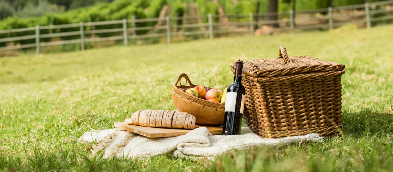 Samedi 21 octobre: randonnée guidée dans le vignoble du Madiran et du Pacherenc