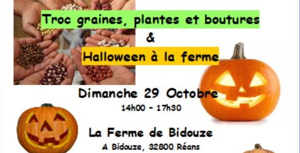 Fête de la citrouille.jpg