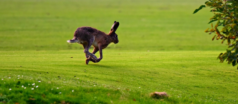 Un dimanche à la chasse à Aux-Aussat