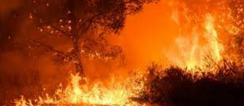 Feux de forêt : bilan 2023 de l’action de l’État dans la prévention et la lutte contre les incendies