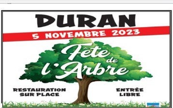 arbre 2023.jpg