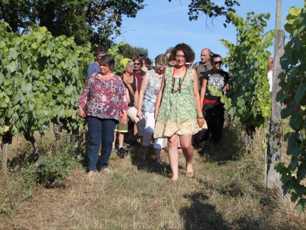 Clos-Les-Mets-d-Ames-Aurions-Idernes-JPEG.jpg