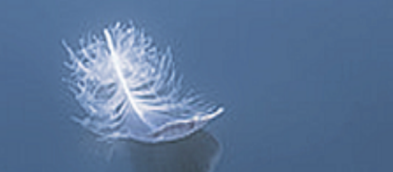 In Memoriam