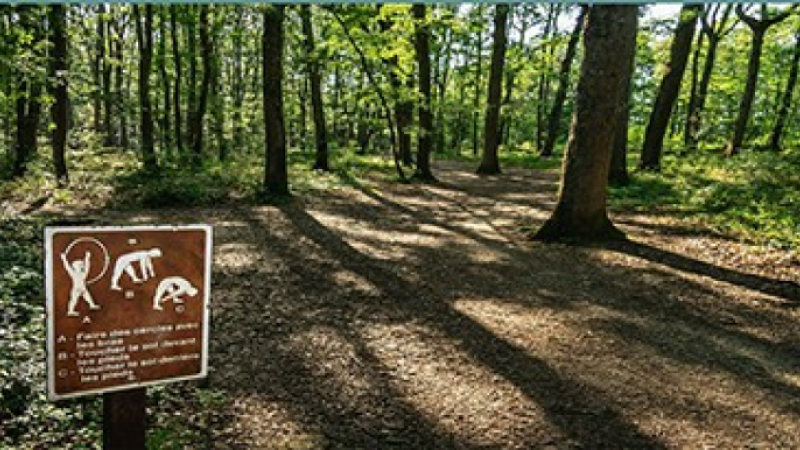 Bois d'Auch : fermeture temporaire du parcours vitalité