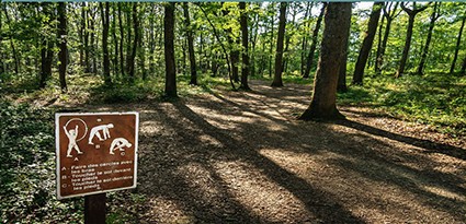 parcours sante bois auch.jpg