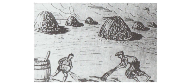 La mounjetado de la Maria ou le temps des haricots