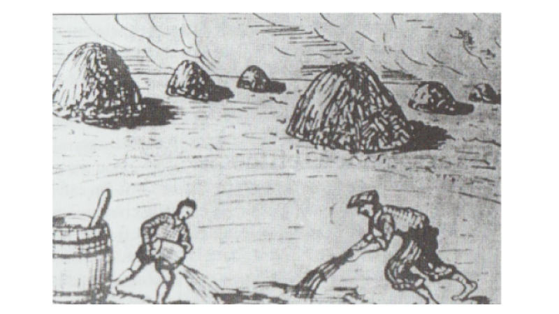 La mounjetado de la Maria ou le temps des haricots