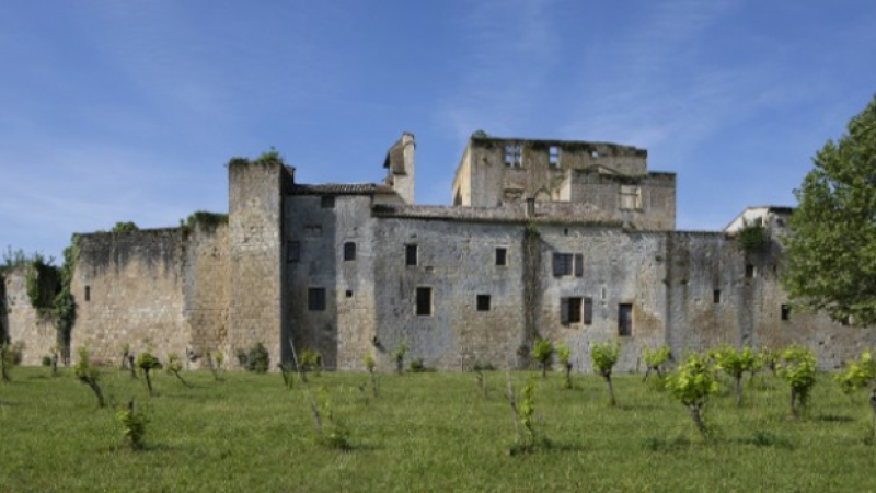 Sauvetés, castelnaux, bastides: un patrimoine vivant»