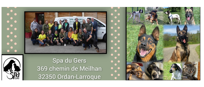 Capture d'écran 2023-11-21 220802.png