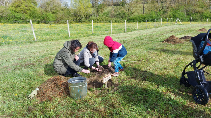 Mon arbre à moi deuxième édition : opération annulée et reportée