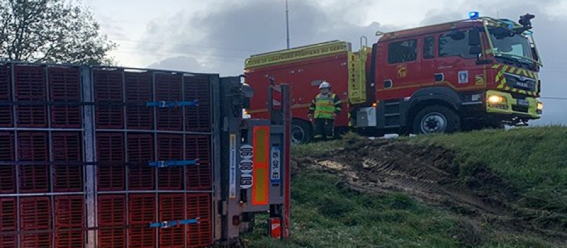 Un poids lourd transportant 4 milliers de volailles se renverse