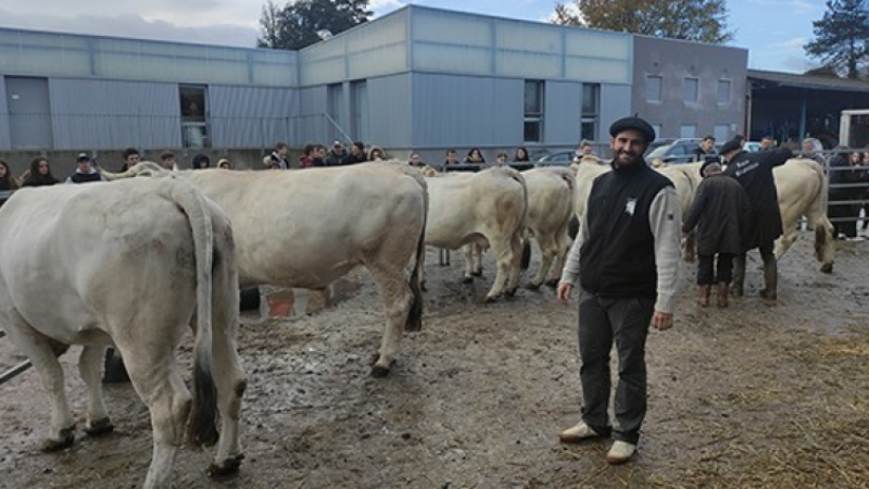 On se prépare pour le salon de l'agriculture 2024