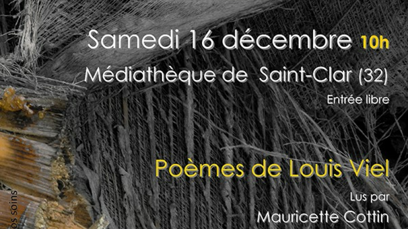 Etres légendaires dans les arbres et forêts de Gascogne, une prochaine animation à la médiathèque.