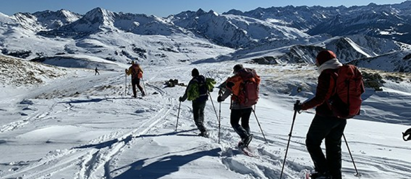 Les marmottes en raquettes