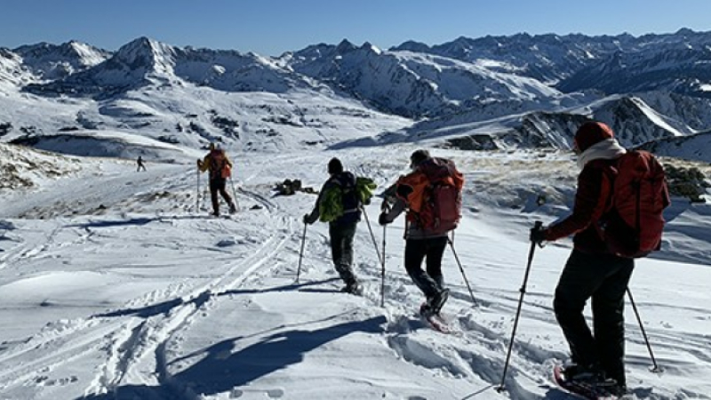 Les marmottes en raquettes