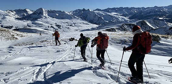 marmotte raquette 2012231.jpg