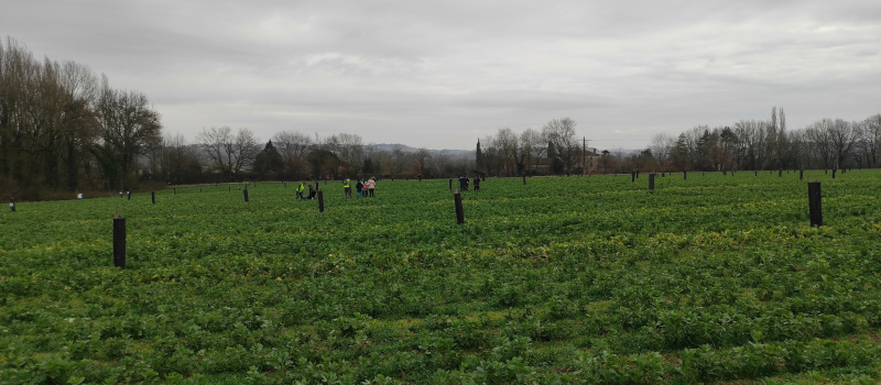 Les enfants sèment l’avenir en plantant des arbres  dans le Gers