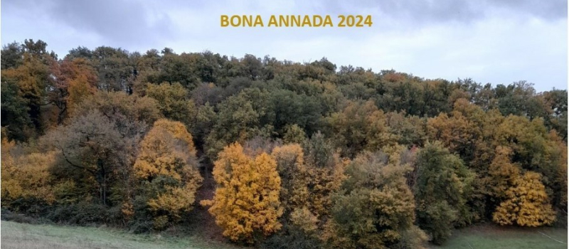 Bona annada 2024