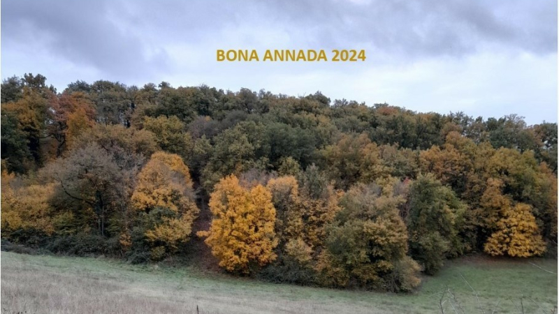 Bona annada 2024