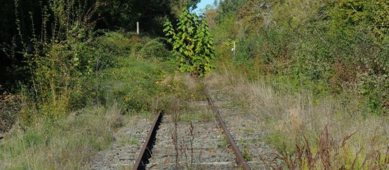 La France aura-t-elle enfin un grand plan de remise à niveau du rail français ?