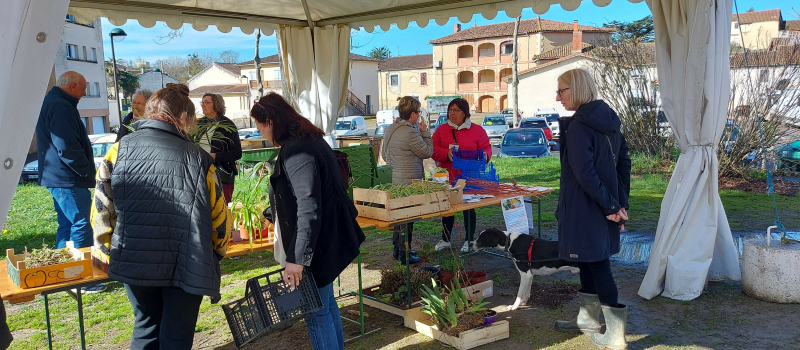Venez rencontrer le collectif Oasis !