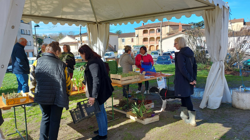 Venez rencontrer le collectif Oasis !