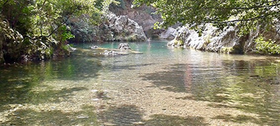 gorges-orbieu-2..jpg