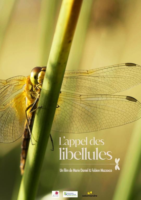 affiche appel des lib.jpg