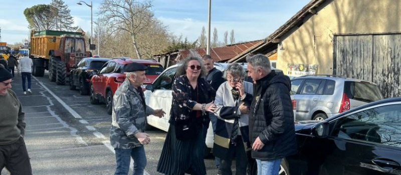Les Taxis manifestaient à Auch